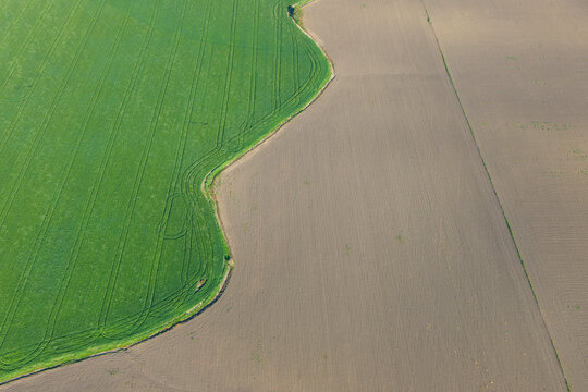 Aerial View of Edge of Wheat Field, Cadiz Province, Andalusia, Spain