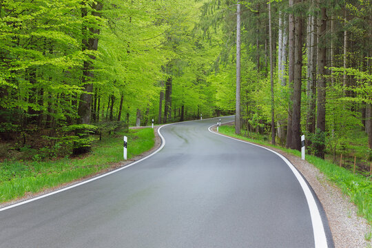 Winding road through forest in spring with lush green foliage. Bavaria, Germany.