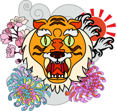 colorful traditional tattoo style Tiger face with cherry blossom and hibiscus flower on could and red rising sun background.Chinese Tiger roaring tattoo.