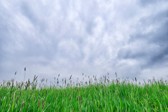 Meadow with Dramatic Sky, Bavaria, Germany