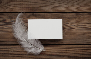White Blank business card for corporate identity and feather on wooden background. Creative mockup.