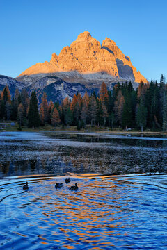 Lago d'Antorno with Tre Cime di Lavaredo at Sunset, Cadore, Belluno District, Veneto, Dolomites, Alps, Italy