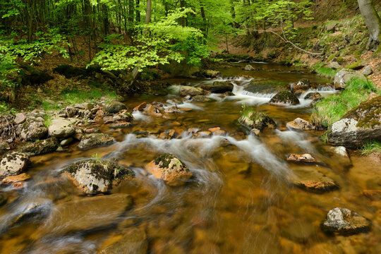 Ilse, Ilse Valley. Heinrich Heine Trail, Ilsenburg, Harz National Park, Harz, Saxony-Anhalt, Germany