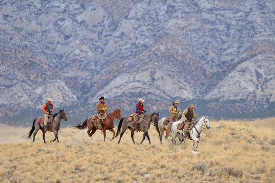Cowboys and Cowgirls riding horses in wilderness, Rocky Mountains, Wyoming, USA