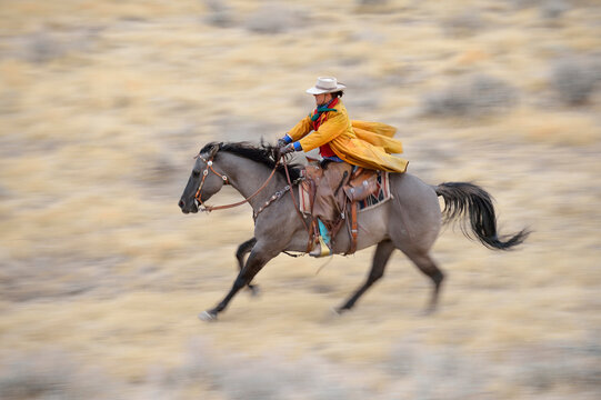 Blurred motion of cowgirl on horse galloping in wilderness, Rocky Mountains, Wyoming, USA