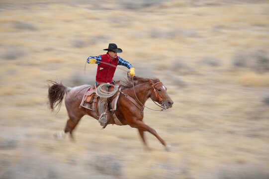 Blurred motion of cowboy on horse galloping in wilderness, Rocky Mountians, Wyoming, USA