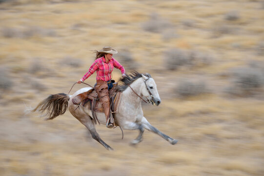 Blurred motion of cowgirl on horse galloping in wilderness, Rocky Mountains, Wyoming, USA