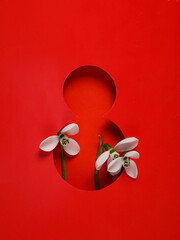 World Women's Day. Hole paper space in the shape of the number 8 with flowers