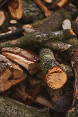 chopped firewood. A pile of logs. Trees has been cut and split into firewood to be used as fuel for heating in fireplaces and furnaces
