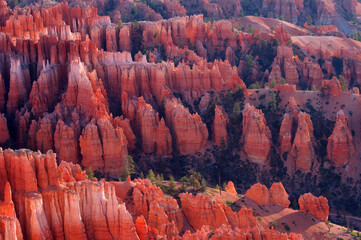 Overview of the Hoodoos of the Claron Formation at sunrise in Bryce Canyon National Park, Utah, USA