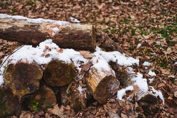 chopped firewood. A pile of logs. Trees has been cut and split into firewood to be used as fuel for heating in fireplaces and furnaces