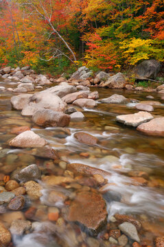 Swift River with fall foliage from forest in background in White Mountain National Forest in New Hampshire, New England, USA
