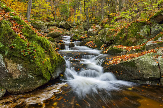 Water flowing in the Rriver Ilse with autumn leaves in the Ilse Valley along the Heinrich Heine Trail in Harz National Park, Harz, Germany