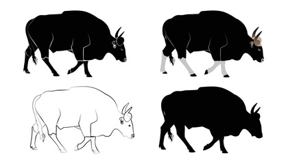 Isolated bull animal design. Set bull silhouette of standing in different poses and Lonely bull. Bull logo design, vector illustration.