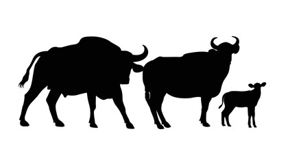 Isolated bull animal design. Set bull silhouette of standing in different poses and Lonely bull. Bull logo design, vector illustration.