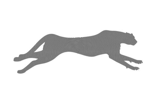 Running cheetah. Cheetah collection. Vector illustration of cheetah in pose actions: lies, sitting, standing, walking and running. Isolated  vector