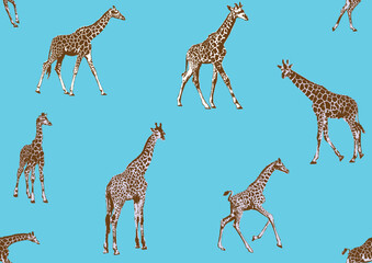 Seamless pattern, background with adult giraffe and baby giraffe. Realistic drawing, animals. Vector illustration. Isolated on white background.