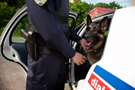 Police Dog With Officer