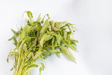 closeup, pile of Kangkung (Water spinach) on white background, negative space