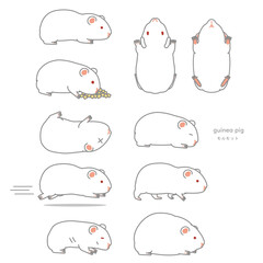 モルモットのベクターイラストセット（食事、あおり、ふかん、うつぶせ、歩く、走る、太る、やせる）