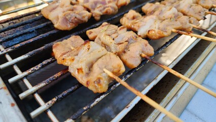 Grilled Pork. grilled skewered milk pork. Street food Thailand.