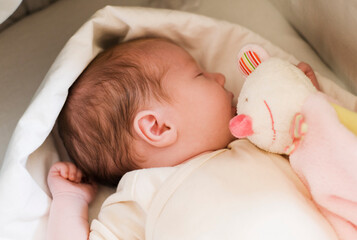 Two Week Old Baby Sleeping