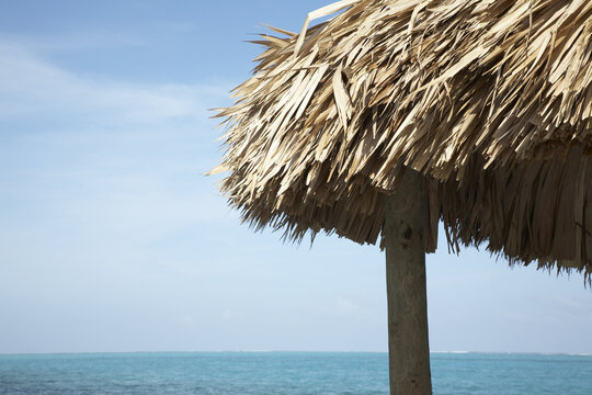 Close-up of Palapa by Ocean, Belize