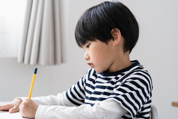 勉強する日本人小学生の男の子