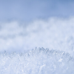 Obraz premium Fresh snow background. Natural winter backdrop. Texture in blue tones