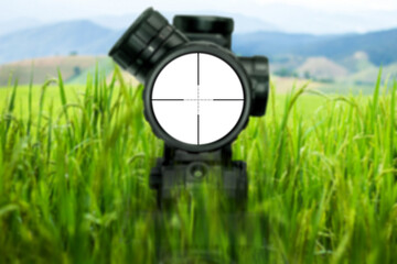 Assault rifle sniper ambush behind a high grass field target view on natural background. Image of a rifle scope sight used for aiming with a sniper rifle weapon - obrazy, fototapety, plakaty