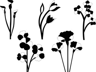 Collection of Flower silhouettes Vector 