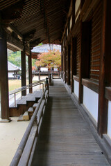 大伝法堂の紅葉・根来寺（和歌山県・岩出市）
