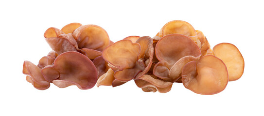 Jew's ear, Wood ear, Jelly ear isolated on transparent png © supamas