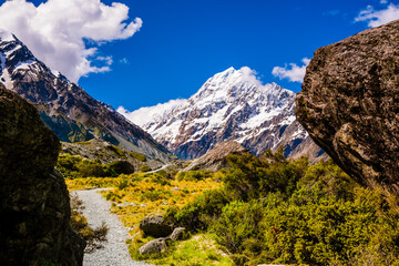 A Trail to Mount Cook