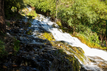 Woodland waterfall in Nainital, Uttrakhand 
