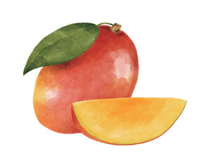 マンゴーの実とカットされたマンゴーの水彩風イラスト