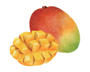 マンゴーの実とカットされたマンゴーの水彩風イラスト