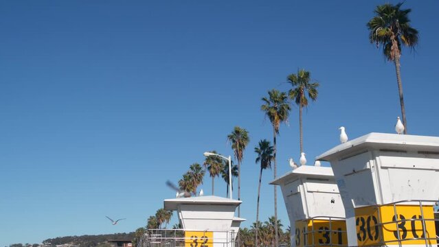 Lifeguard stand or life guard tower hut, surfing safety on California beach, USA. Summer pacific ocean aesthetic. Rescue station, coast lifesavers wachtower or house, palm trees in La Jolla, San Diego