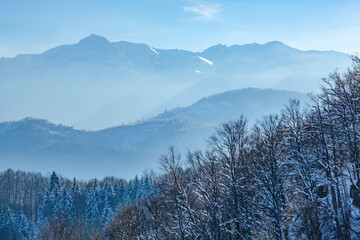 Panoramic view of beautiful winter wonderland mountain scenery with leafless snow capped trees, clear blue sky and high Alpine mountains on background. Picturesque wintry scene with copy space