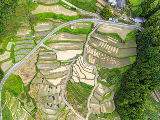 四谷の千枚田