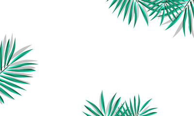 green palm leaf vector for background. Tropical palm frond frame. Summer tropical leaves. summer greeting cards