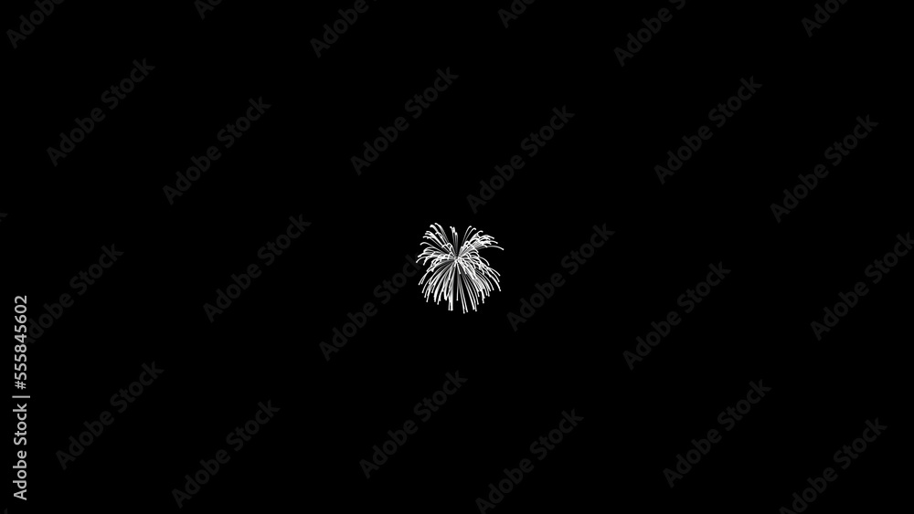 Poster fireworks explode, fall smoothly and abruptly scatter into small fast chaotic particles dark backgro