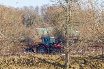 Tractor with a plow on a field at springtime