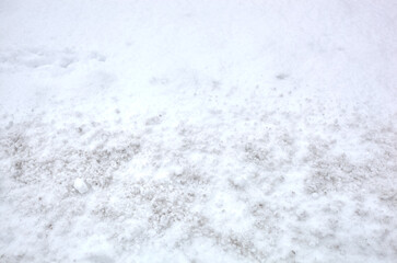 Obraz premium Winter snow in park. Snowy white texture. Snowflakes