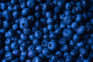 Fresh blueberry background. Texture blueberry berries close up.
