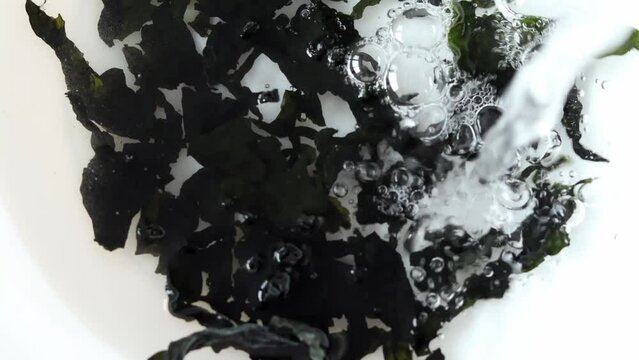 Soaking seaweed wakame. Healthy Seafood. Japanese Cuisine