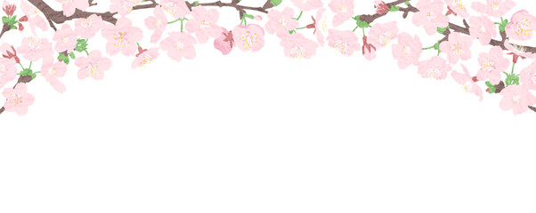 Obraz na płótnie Canvas 桜の花のトンネルの横長バナー、ヘッダーデザイン　テクスチャー入り