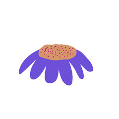 Floral elements collection, watercolor flower, Watercolor hand drawn painting illustration transparent background