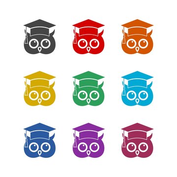 Owl graduation logo icon isolated on white background. Set icons colorful