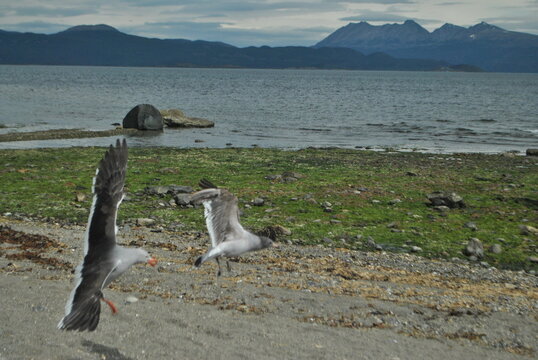 volar a la par
